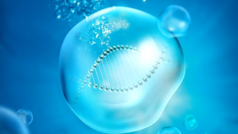 引物合成纯度：生物医药研究中的关键标准