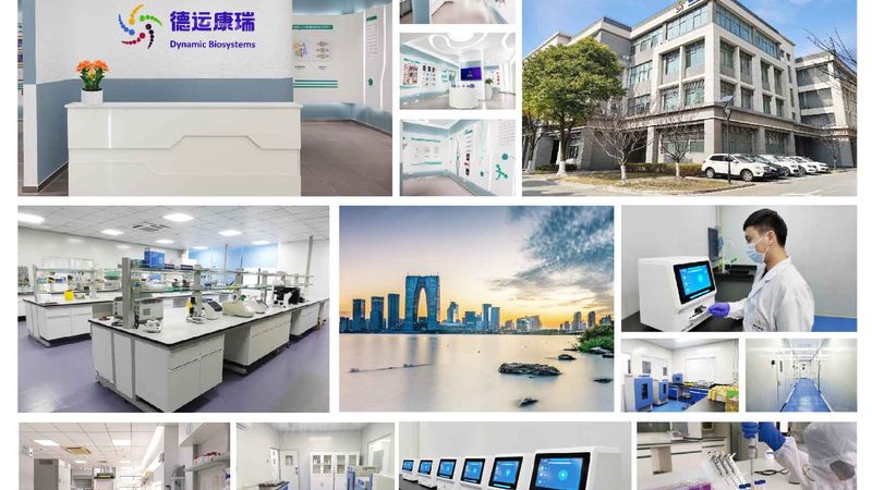 CDMO与CMO：价格背后的差异与考量