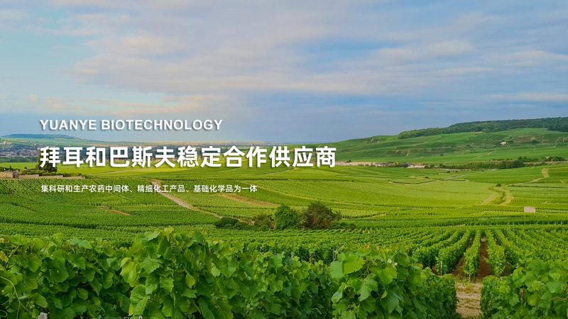 生物制品注册申报，这些材料清单你不可不知**