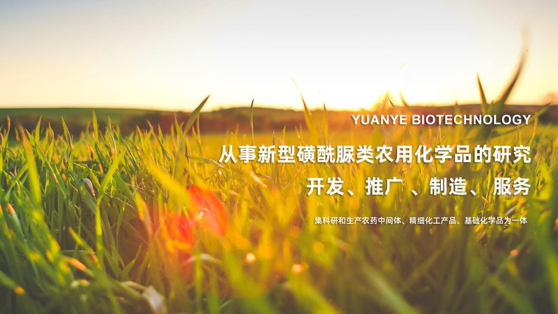 上海生物制品采购，价格之外还需关注什么？**