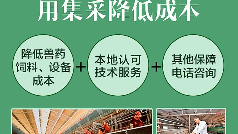 GMP细胞培养操作：安全是基石，细节决定成败**