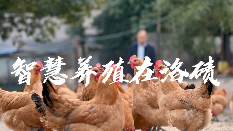 实验室耗材，助力科研之路：揭秘十大品牌背后的技术奥秘